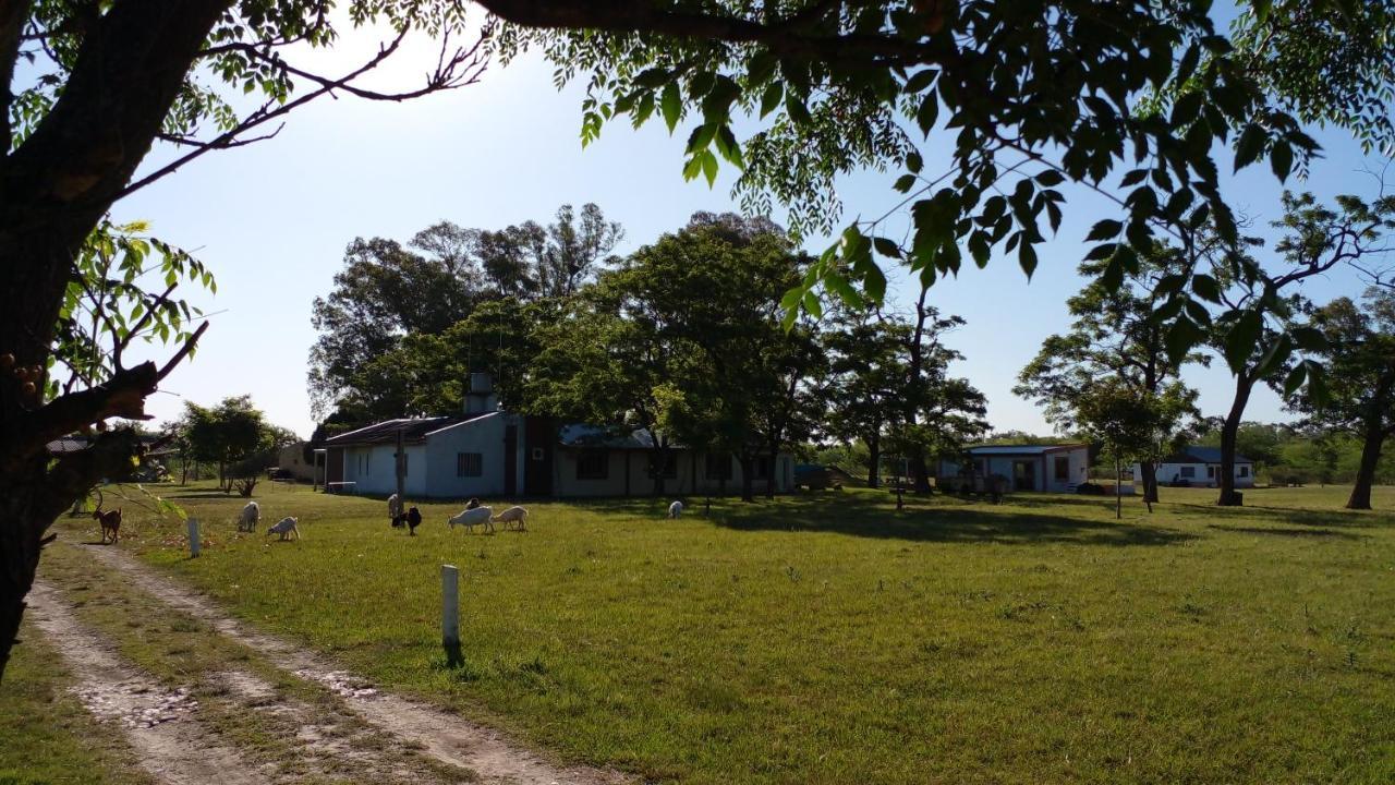Los Arboles, Casa Completa A 5 Minutos Del Aeropuerto Ezeiza Dış mekan fotoğraf